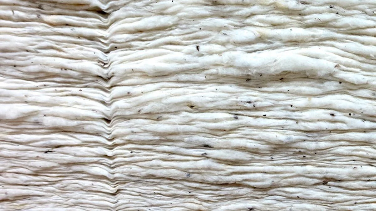 cotton