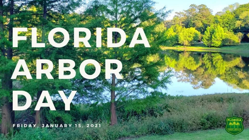 florida-arbor-day