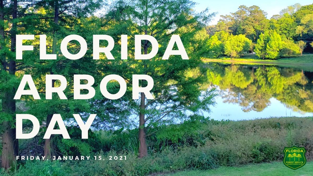 Florida State Arbor Day GreenBrevard