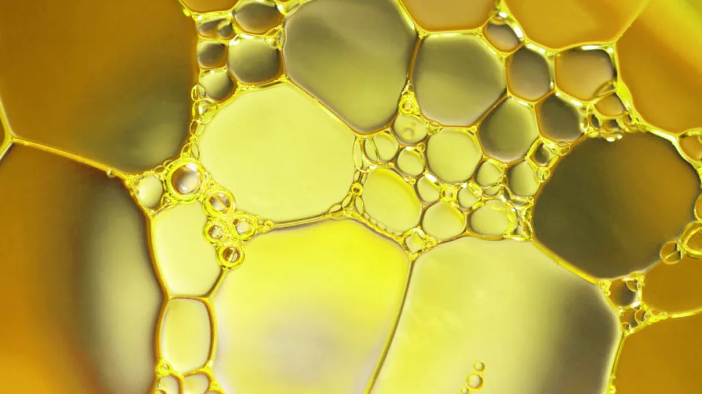 biodiesel