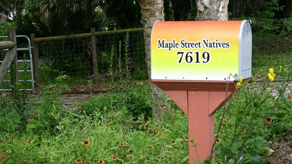 maple-street-natives