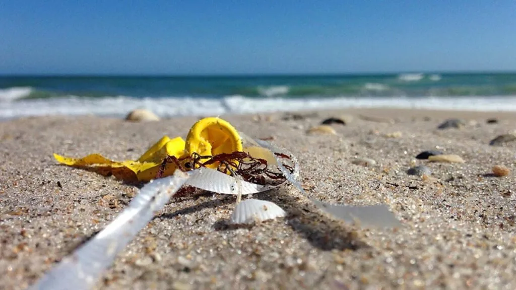 mission-clean-beaches