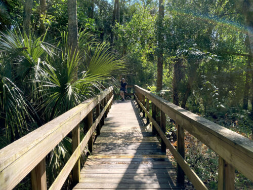 Turkey Creek boardwalk