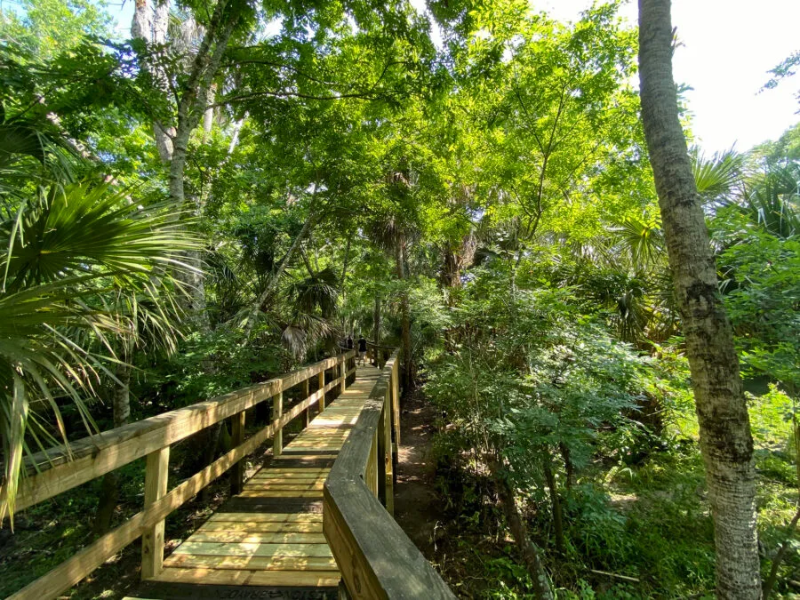 Turkey Creek Sanctuary